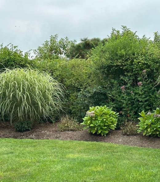 WhatsApp Image 2025-02-24 at 3.02.15 PM (4)