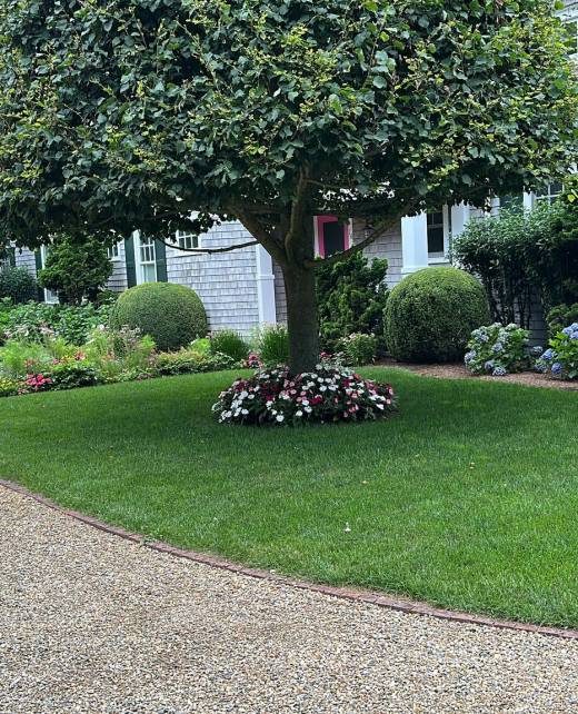 WhatsApp Image 2025-02-24 at 3.02.50 PM (5)