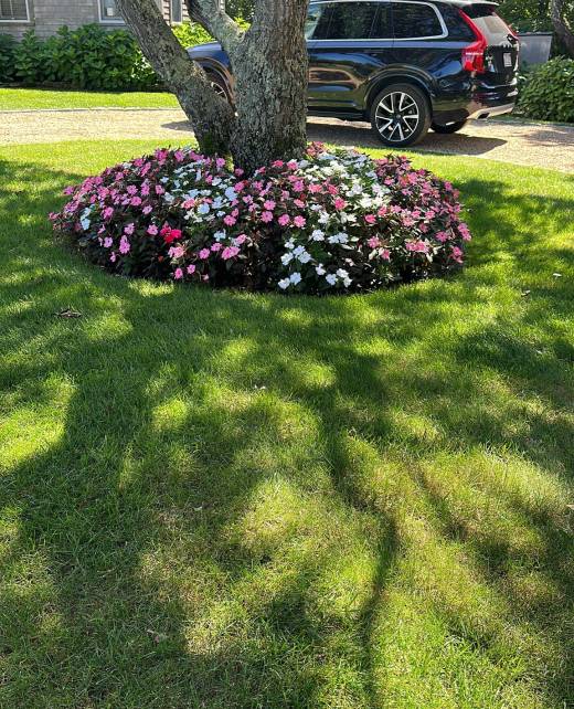 WhatsApp Image 2025-02-24 at 3.02.50 PM